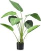 Leen Bakker Strelitzia tak groen 116 cm online kopen