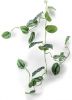 Emerald Kunstplantslinger scindapsus pictus 120 cm online kopen