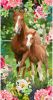 Good morning Strandlaken Foal Paardenmotief, met witte achterzijde, kinderen(1 stuk ) online kopen