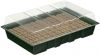 Nature Kweekbakset Incl. Groeimedium H11x35x23, 5cm(7x11 Cellen ) online kopen