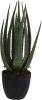 Pro Garden ProGarden Kunstplant in pot Aloe Vera 25x45 cm online kopen