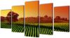 VIDAXL Canvas muurdruk set velden 100 x 50 cm online kopen