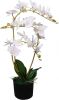 VidaXL Kunst orchidee plant met pot 65 cm wit online kopen