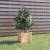 VidaXL Plantenbak 31x31x31 cm massief grenenhout online kopen