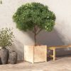VidaXL Plantenbak 50x50x50 cm massief grenenhout online kopen