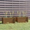 VidaXL Plantenbakken 2 st 60x31x31 cm massief grenenhout honingbruin online kopen
