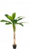 Wants&Needs Plants Kunstplant Banana Tree 180cm online kopen
