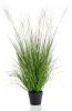 Wants&Needs Plants Kunstplant Catkins Grass 110cm online kopen