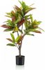 Wants&Needs Plants Kunstplant Croton Tree 95cm online kopen