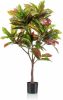 Wants&Needs Plants Kunstplant Croton Tree 120cm online kopen