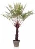 Wants&Needs Plants Kunstplant Fern Dicksonia 105cm online kopen