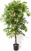 Wants&Needs Plants Kunstplant Ficus Deluxe Vine Tree 140cm online kopen