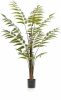 Wants&Needs Plants Kunstplant Leather Fern Groen 150cm online kopen