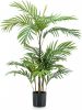Shoppartners Groene Kunstplant Phoenix Palmboom 90 Cm Kunstplanten online kopen