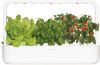 Click&Grow Smart Garden kruidenpot 9 planten online kopen