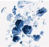 KEK Amsterdam fotobehang Royal Blue Flowers (292.2x280 cm) online kopen