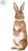 KEK Amsterdam muursticker konijn (43x118 cm) online kopen