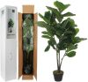 Mica kunstplant Ficus Lyrata (120 cm) online kopen