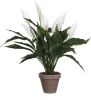 Mica Decorations Spathiphyllum Lepelplant Kunstplant Wit In Keramieken Pot H50 X D40 Cm Kunstplanten online kopen