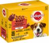 Pedigree Pouch Adult Favourites Multipack Hondenvoer 12x100 g online kopen