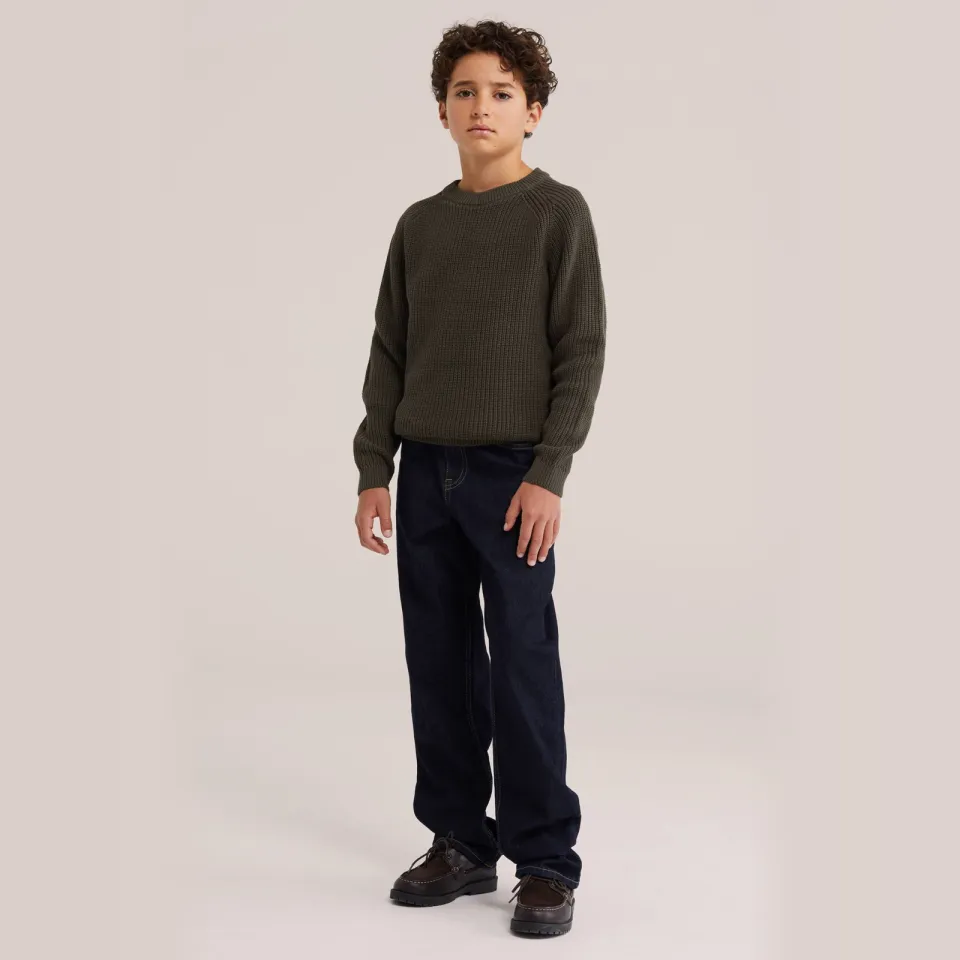 WE Fashion katoenen gebreide trui - olijfgroen