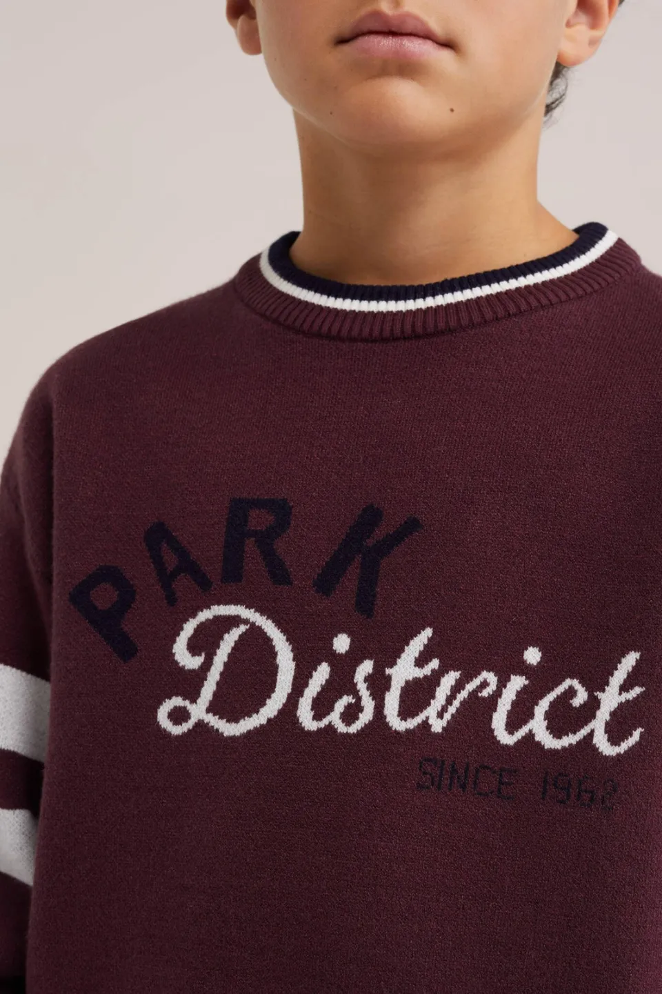 WE Fashion gestreepte gebreide trui met tekst - bordeauxrood, foto 6