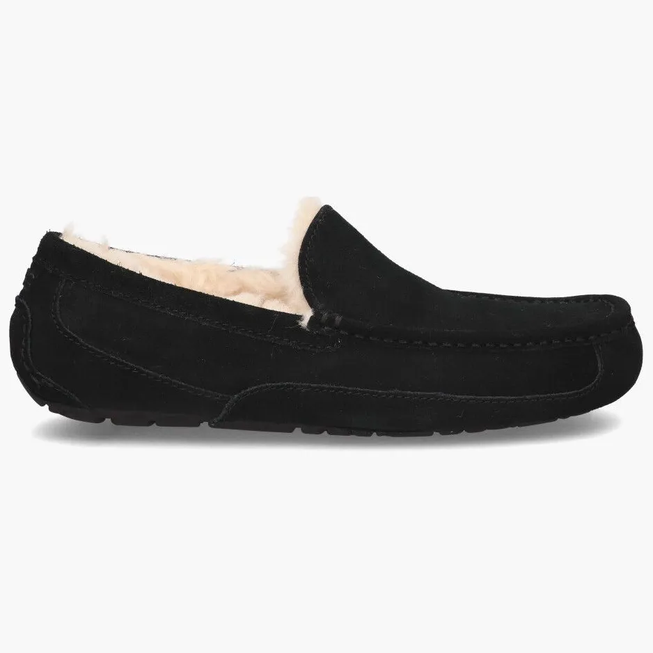 Ugg ® Ascot voor heren in Black, Suede
