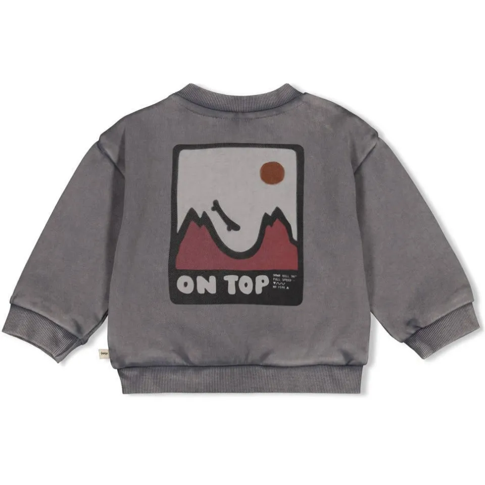 Feetje sweater Mountain Top - grijs, foto 4