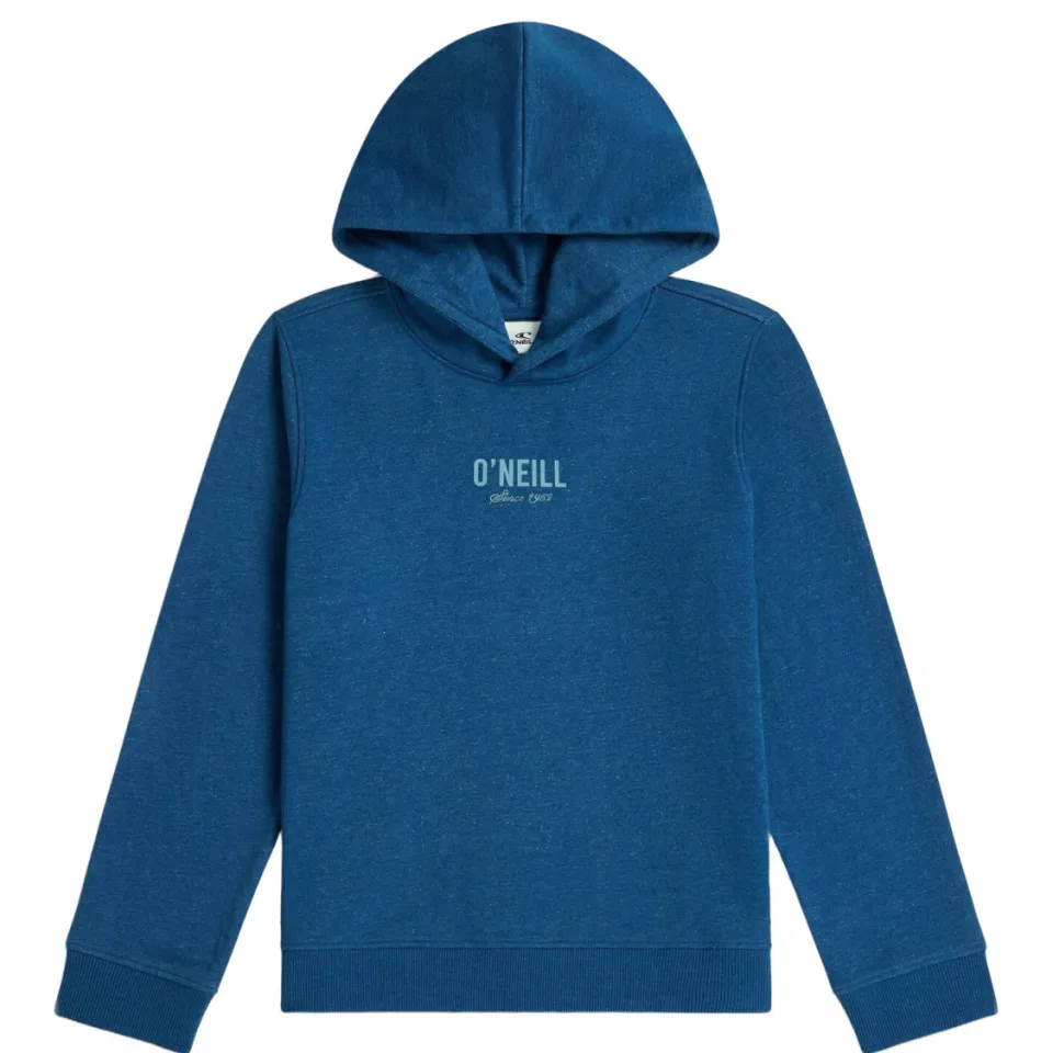 O'Neill hoodie - blauw, foto 3