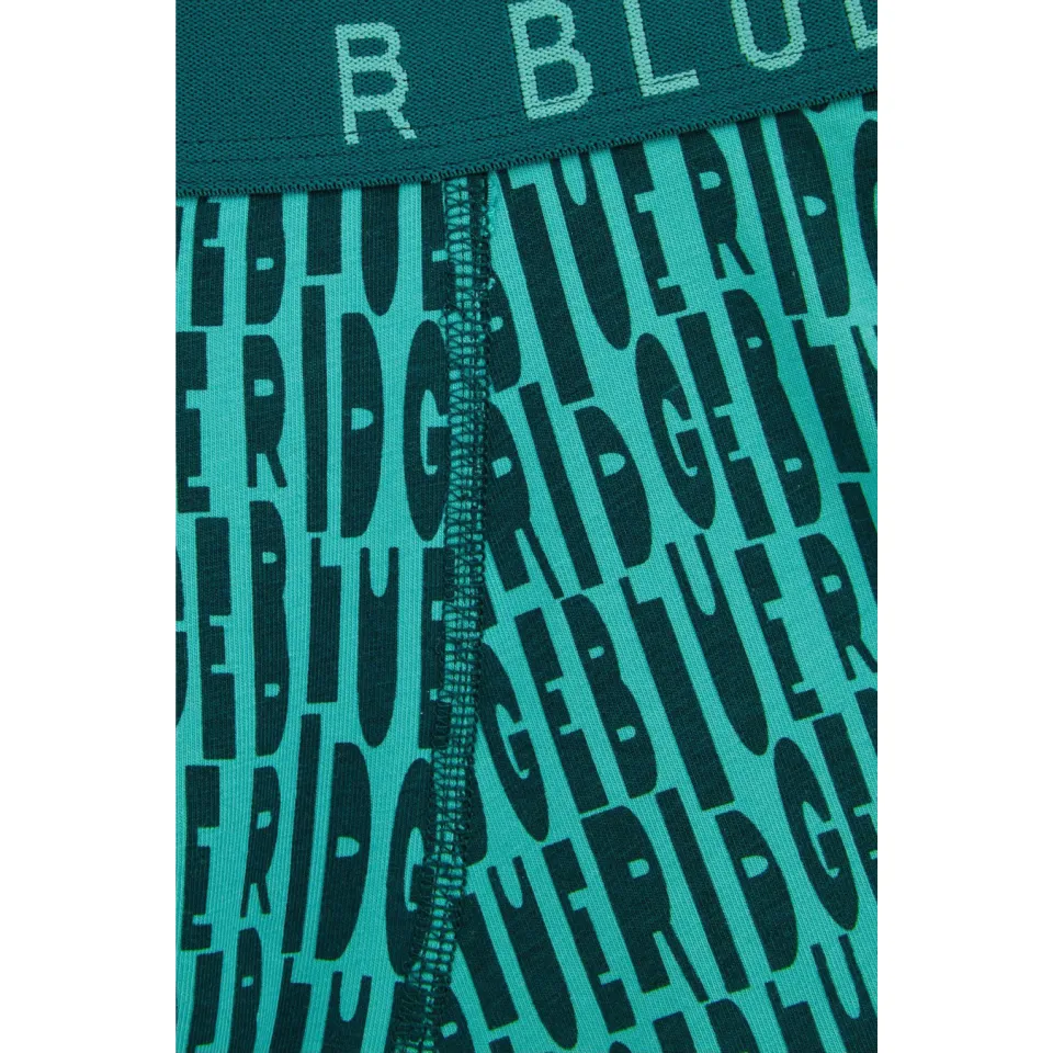 WE Fashion Blue Ridge boxershort petrol groen, foto 2