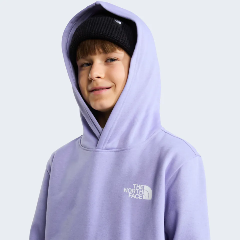 The North Face Evolution Box NSE sweater met backprint - lila, foto 6