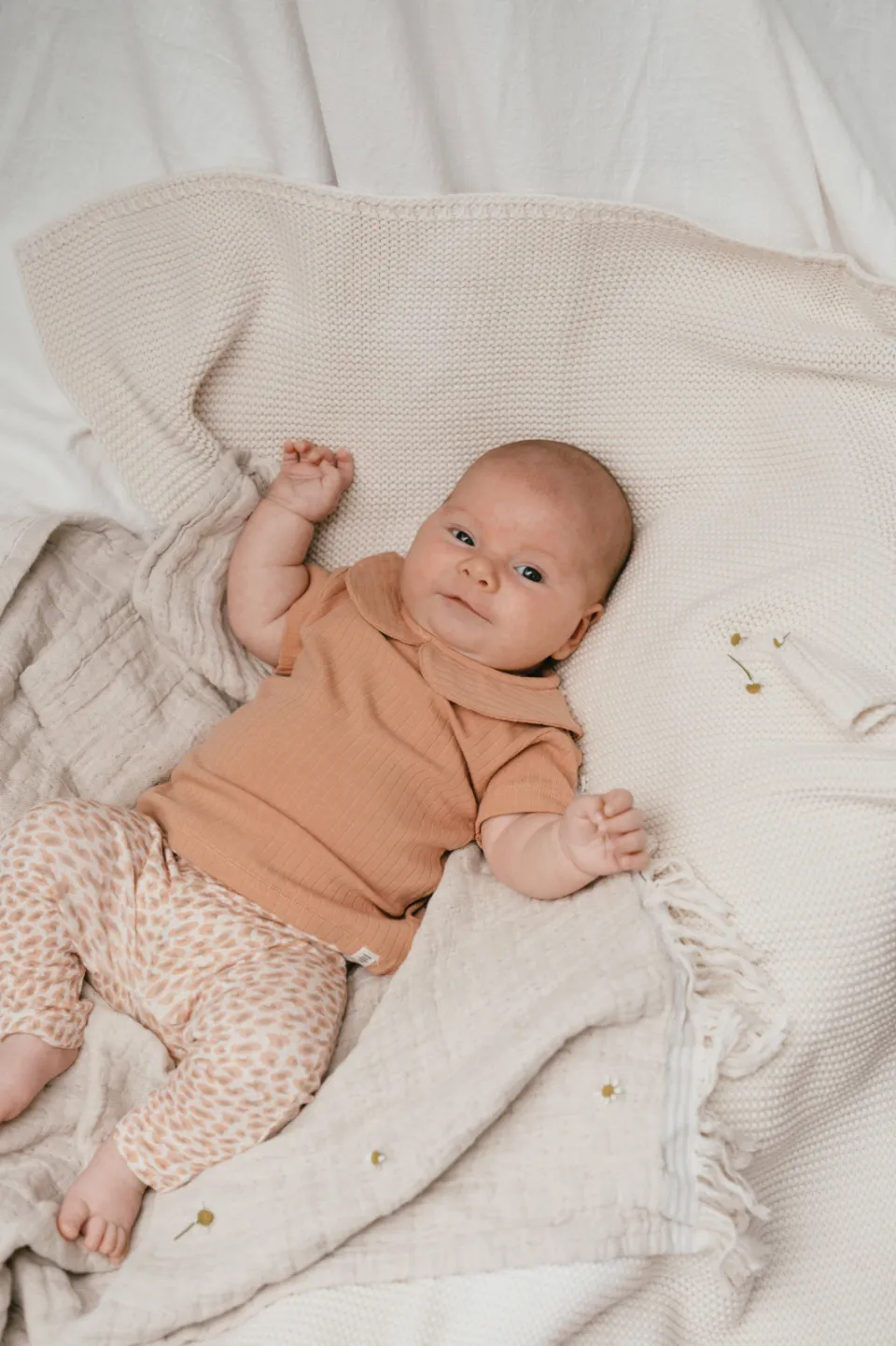 A Tiny Story T-shirt taupe Roze