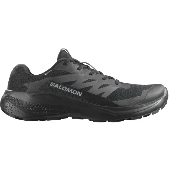 Salomon Alphaglide GORE-TEX trailrunningschoenen zwart/grijs