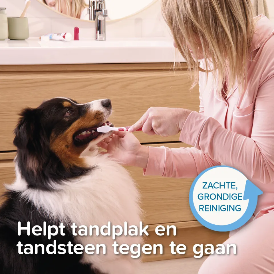 Beaphar tandpasta voor hond en kat, foto 4