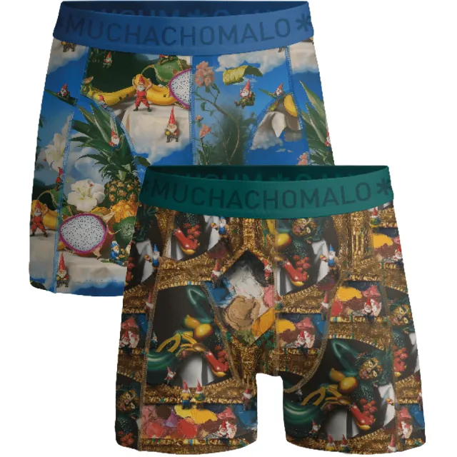 Muchachomalo Heren 2-pack Boxershorts Fruit Life Veelkleurig