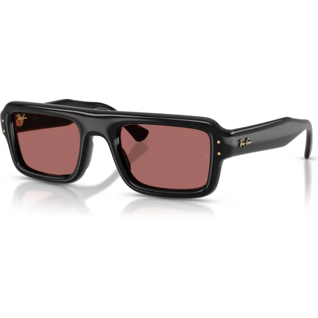 Ray-Ban x A$AP Rocky 0RB4954 zonnebril zwart