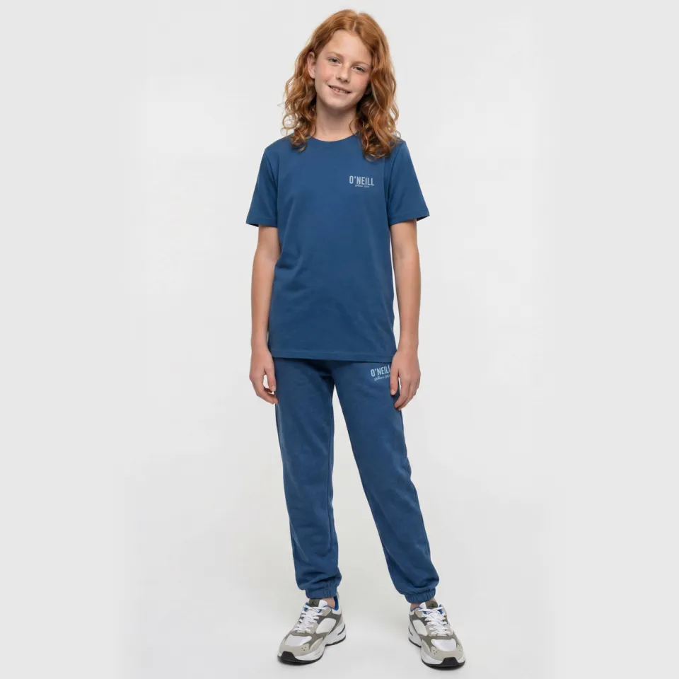 O'Neill T-shirt blauw