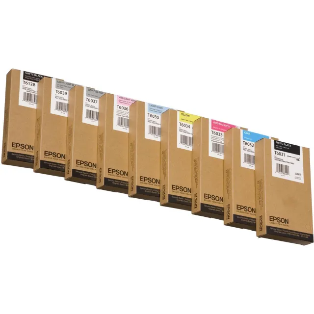 Epson T603100 Zwart