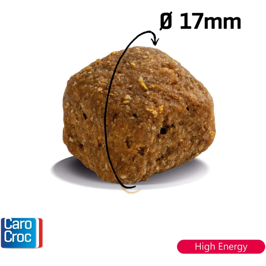 CaroCroc High Energy hondenvoer droog, foto 3