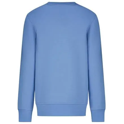 Cars sweater met print - lichtblauw Printopdruk, foto 2