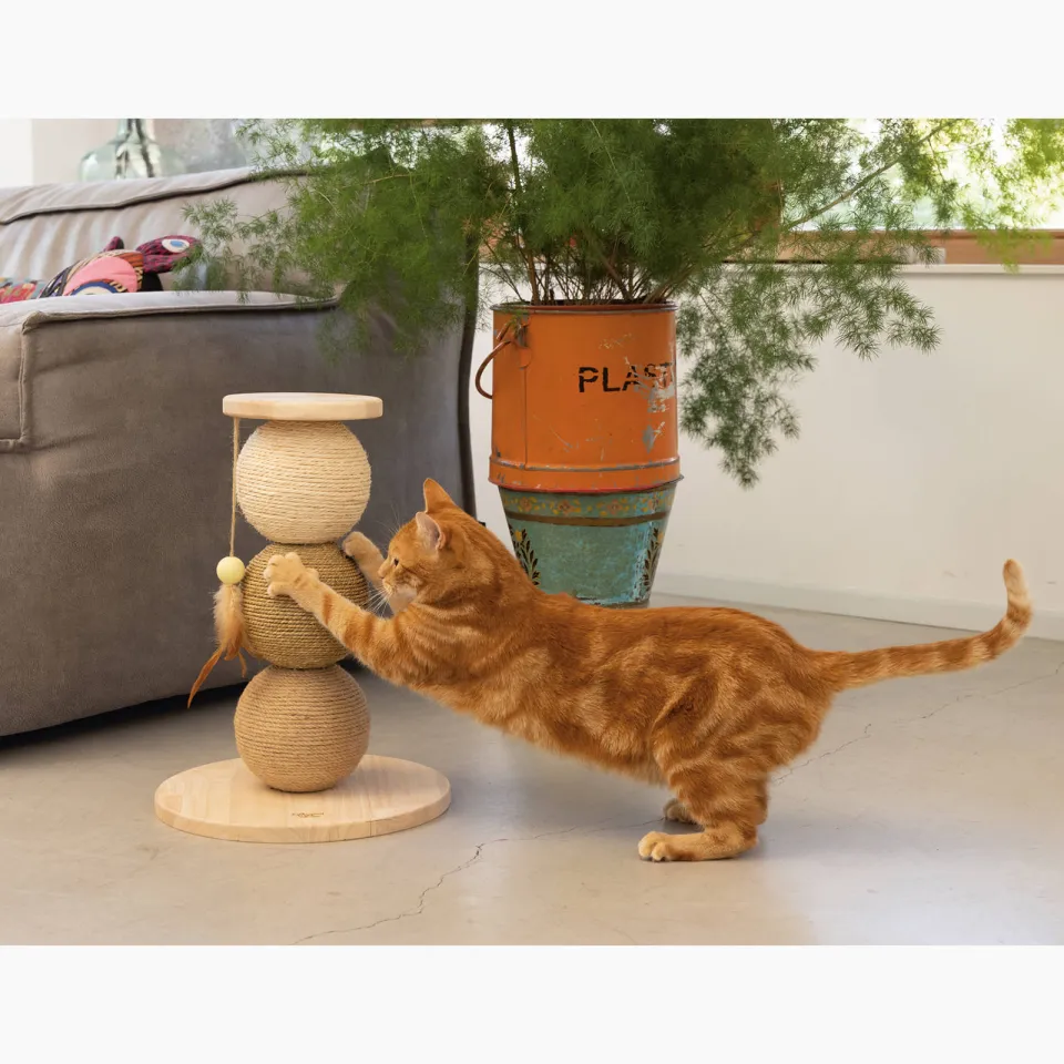 Designed by Lotte Krabbollen Elio hout houtkleur, foto 5