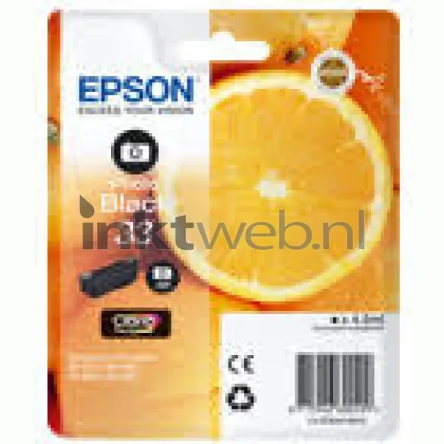 Epson 33 foto zwart (Origineel)