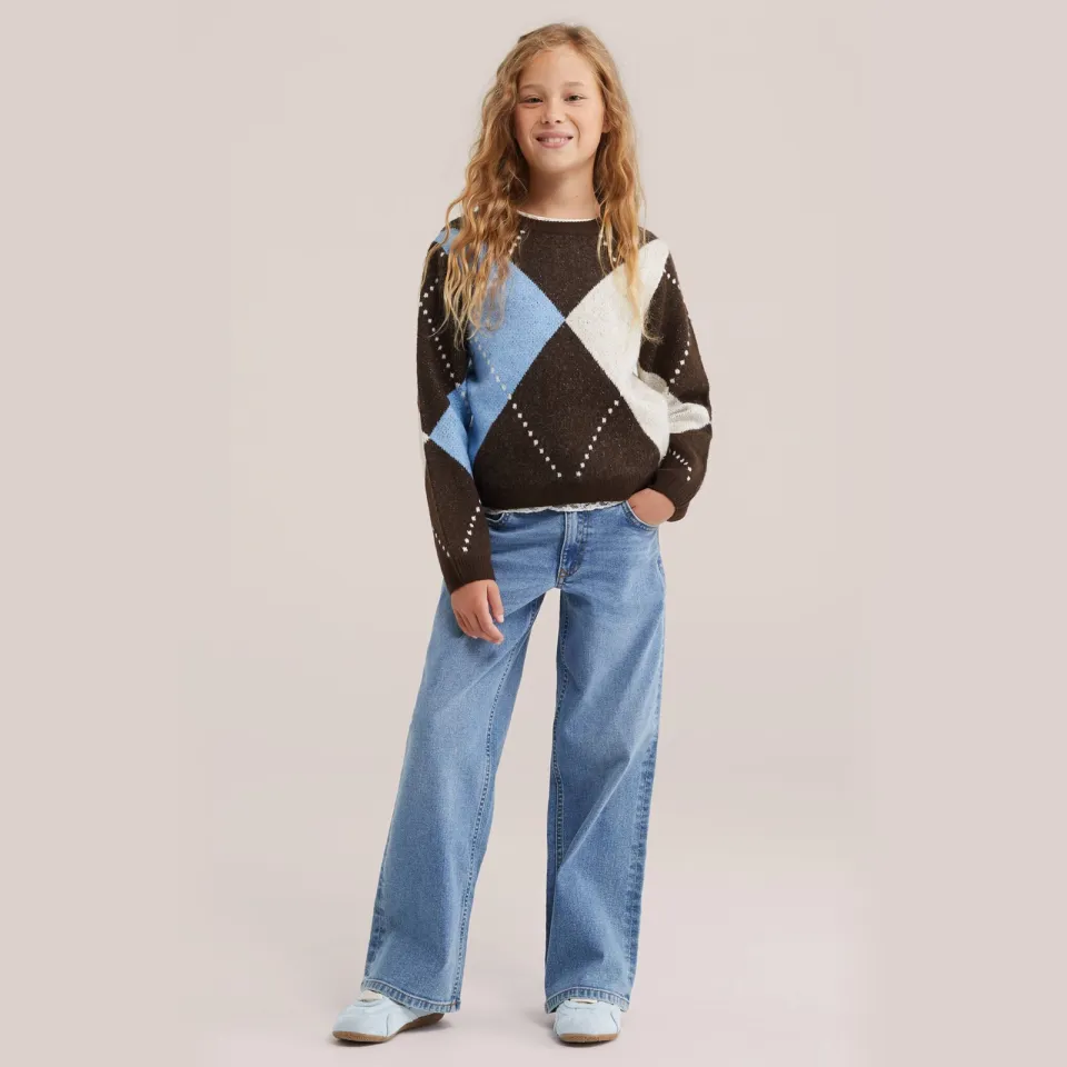 WE Fashion gebreide trui met wol - bruin/blauw/wit