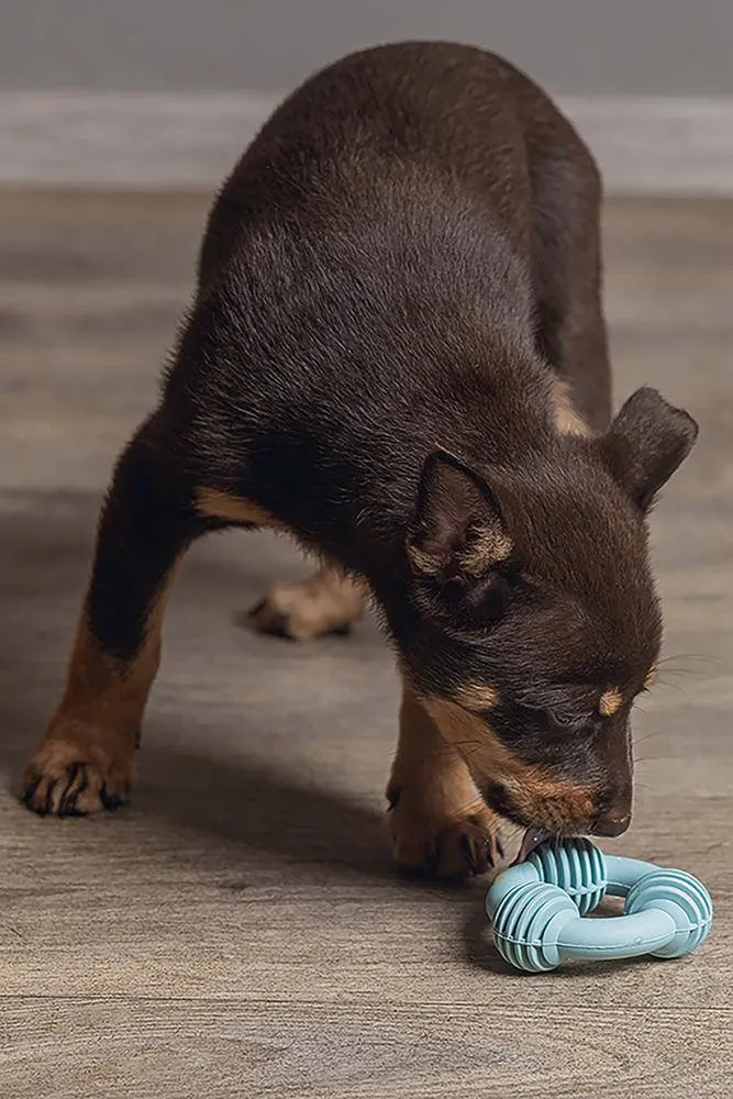 Beeztees puppy rubber dental ring (8 cm) groen, foto 3
