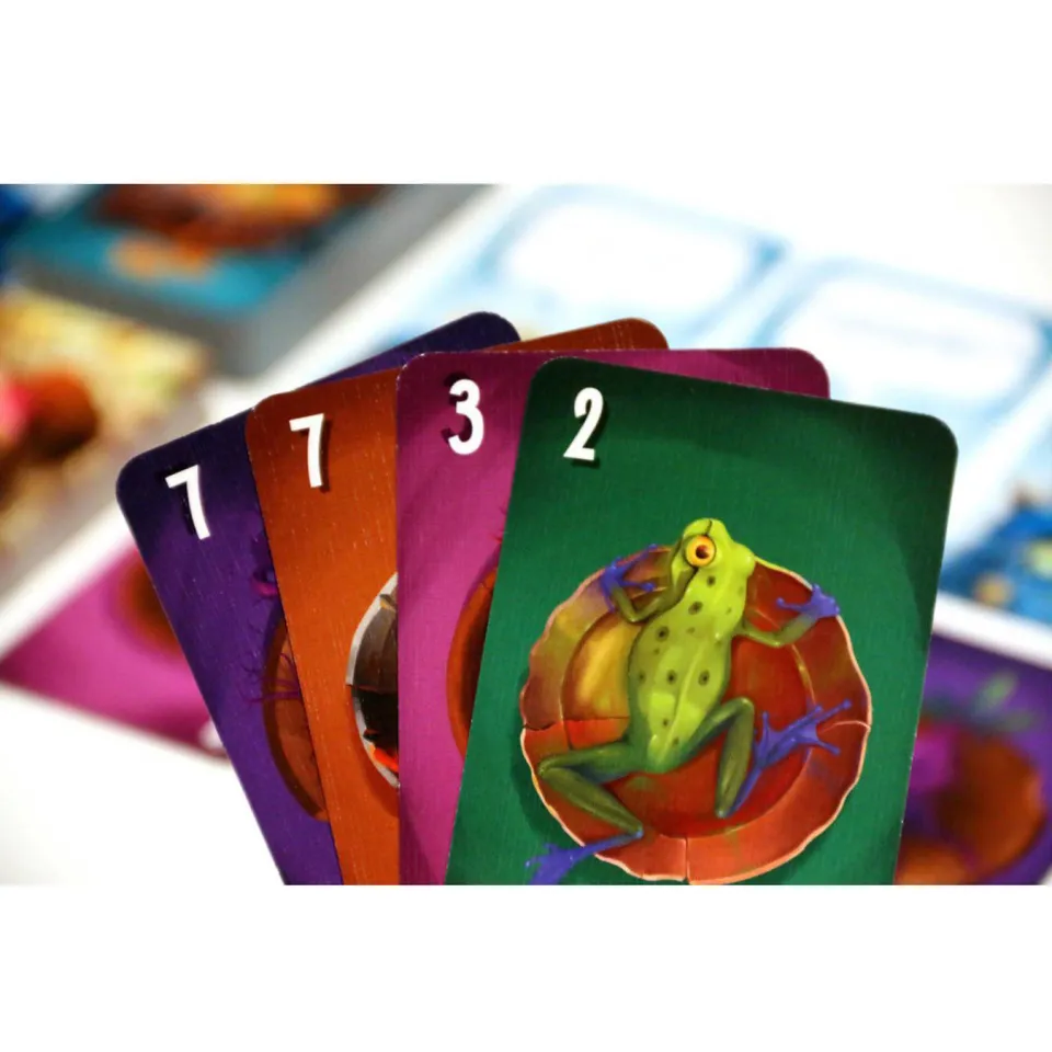 White Goblin Games Cahoots kaartspel, foto 6