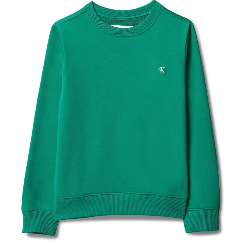 Calvin Klein sweater groen, foto 2