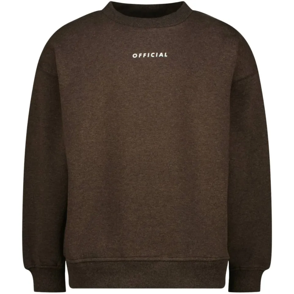 Raizzed oversized sweater met backprint - bruin, foto 2