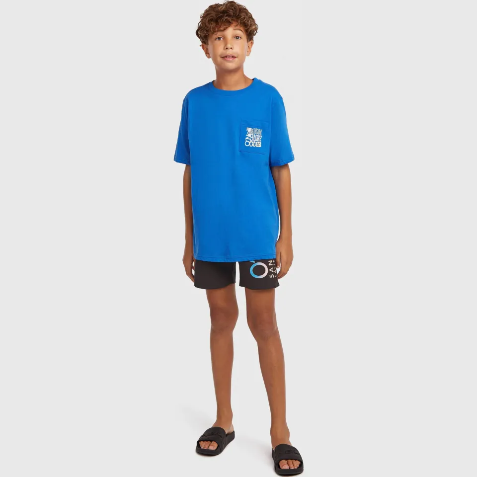 O'Neill T-shirt blauw