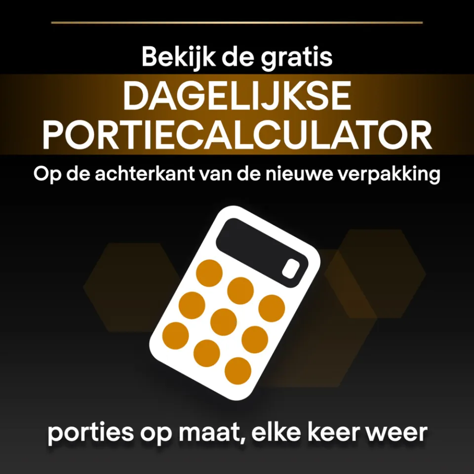 Pro Plan Adult Hairball & Healthy Skin droog kattenvoer zalm, foto 6