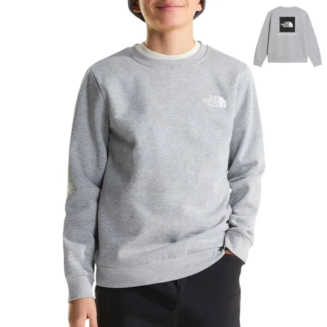 The North Face Evolution Box NSE Sweater Junior Grijs